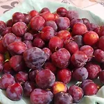 Da Zietto Penzion Dorgali
